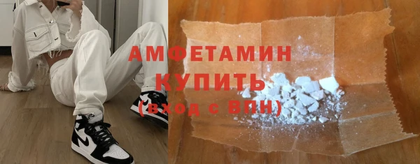 твердый Бородино