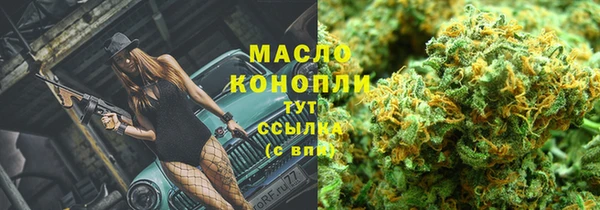 твердый Бородино