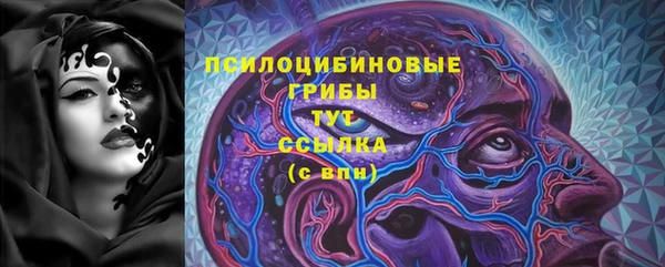 бошки Бугульма