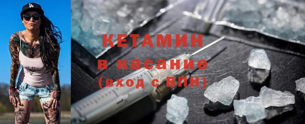 твердый Бородино